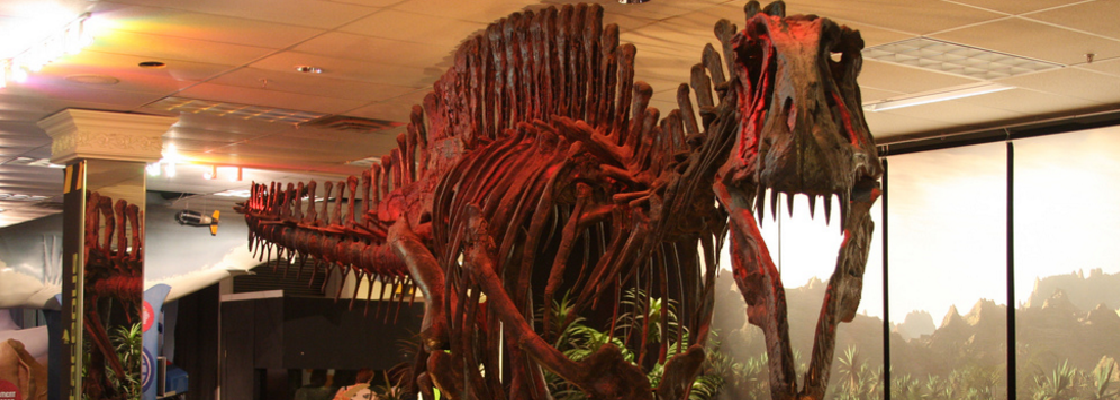Tyrannosaurus Rex Bones