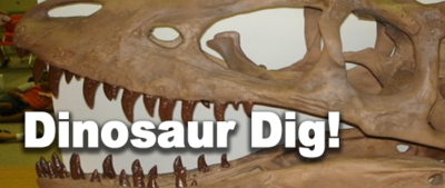 dinosaur dig t-ex skull