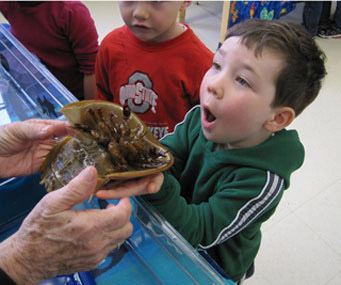 Aquatic Sciences Boy with Horsehoe crab